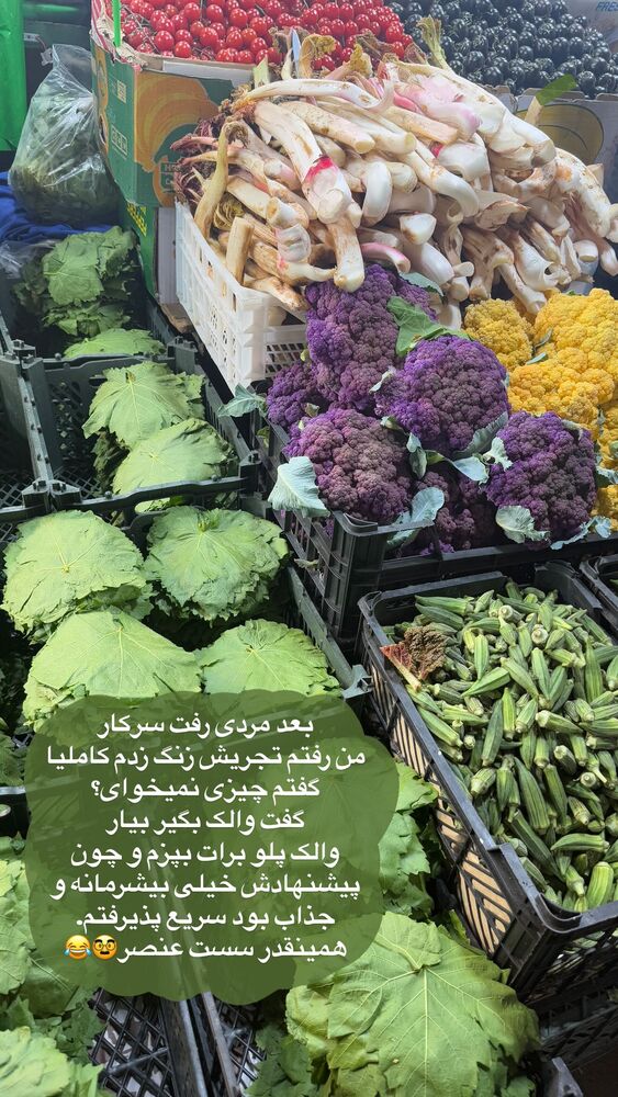  جدید ترین استوری اینستاگرام لیلی زمردیان