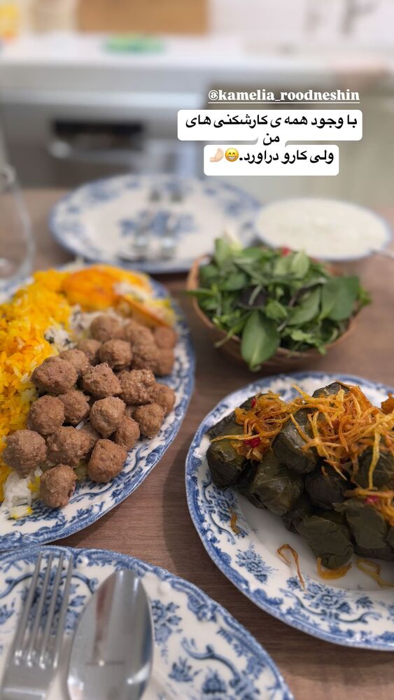  جدید ترین استوری اینستاگرام لیلی زمردیان