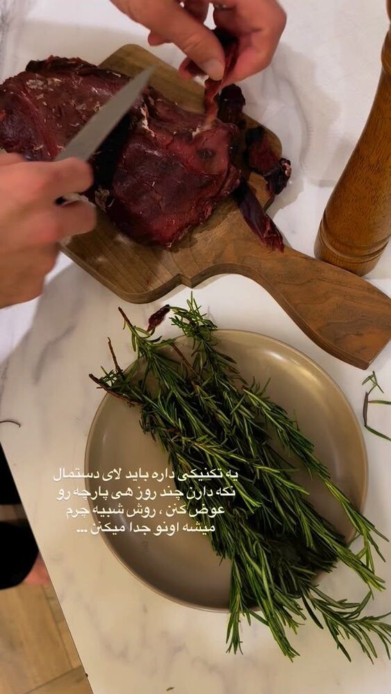  جدید ترین استوری اینستاگرام لیلی زمردیان
