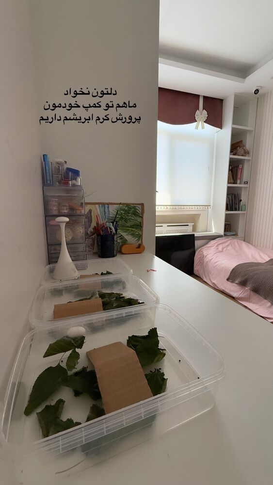  جدید ترین استوری اینستاگرام لیلی زمردیان