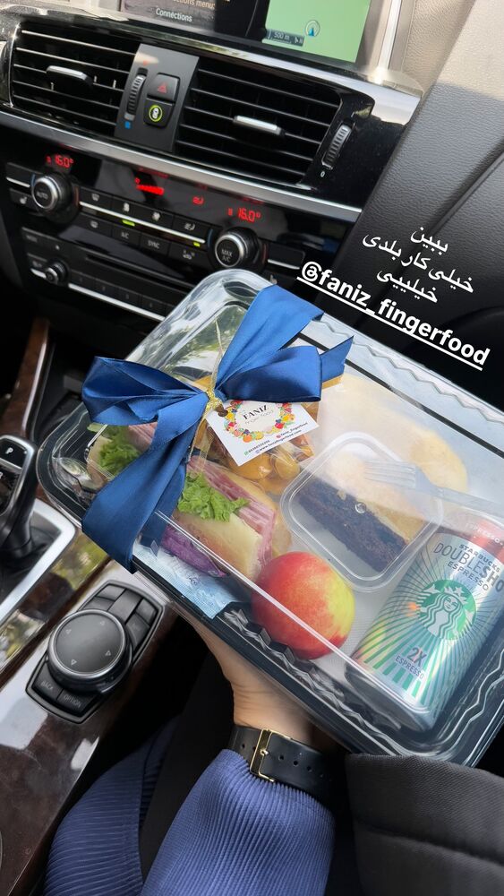  جدید ترین استوری اینستاگرام لیلی زمردیان