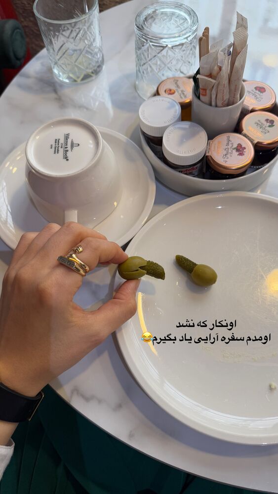  جدید ترین استوری اینستاگرام لیلی زمردیان