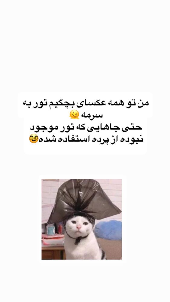  جدید ترین استوری اینستاگرام لیلی زمردیان
