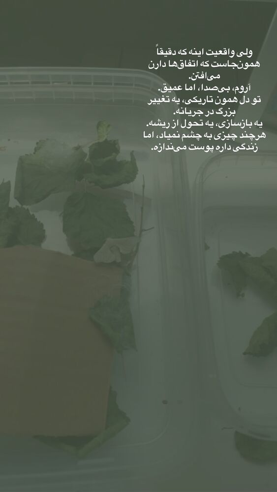  جدید ترین استوری اینستاگرام لیلی زمردیان