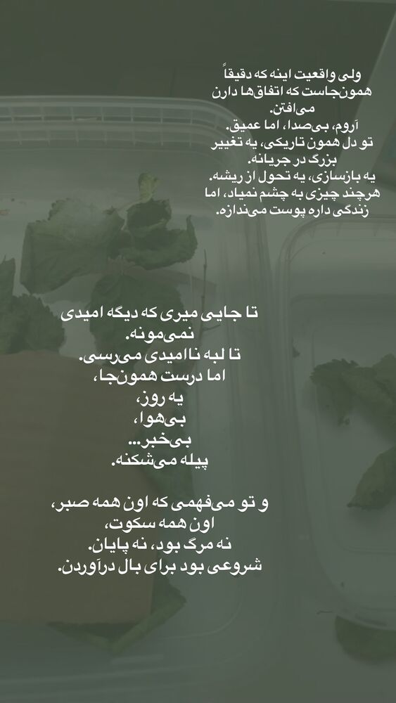  جدید ترین استوری اینستاگرام لیلی زمردیان