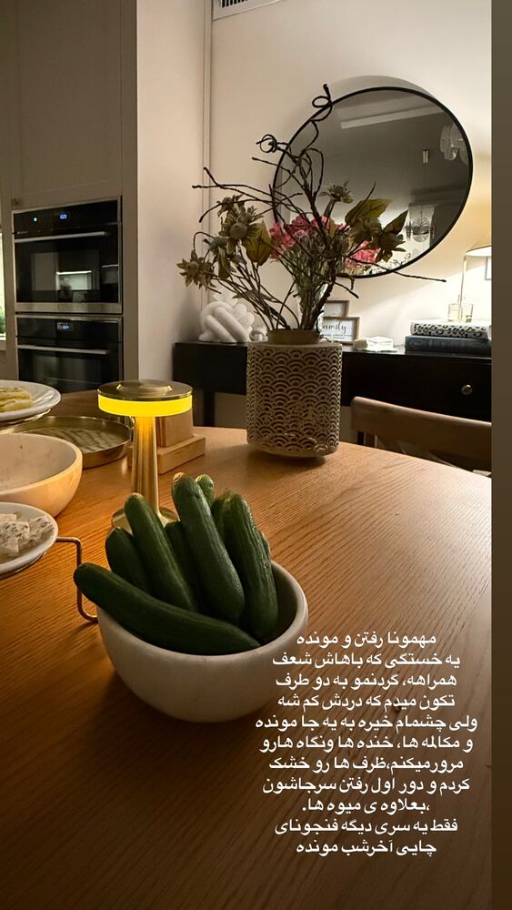  جدید ترین استوری اینستاگرام لیلی زمردیان