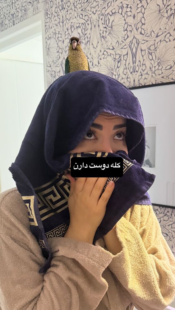  جدید ترین استوری اینستاگرام لیلی زمردیان