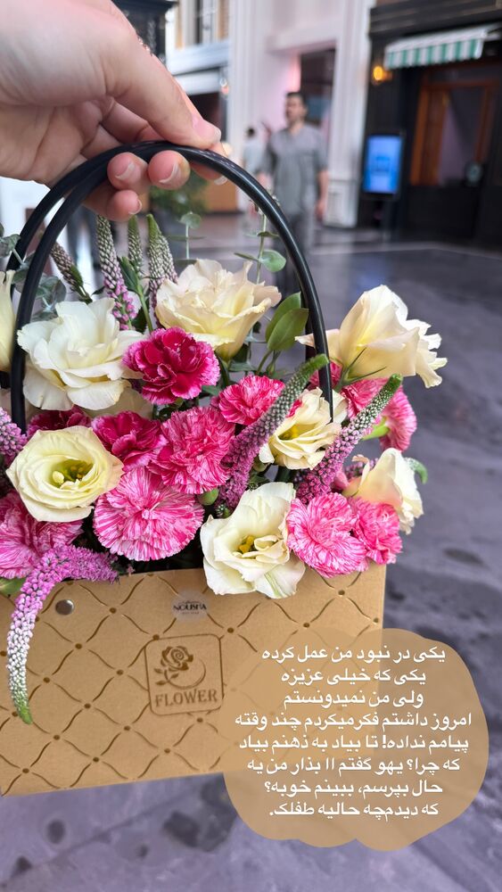  جدید ترین استوری اینستاگرام لیلی زمردیان