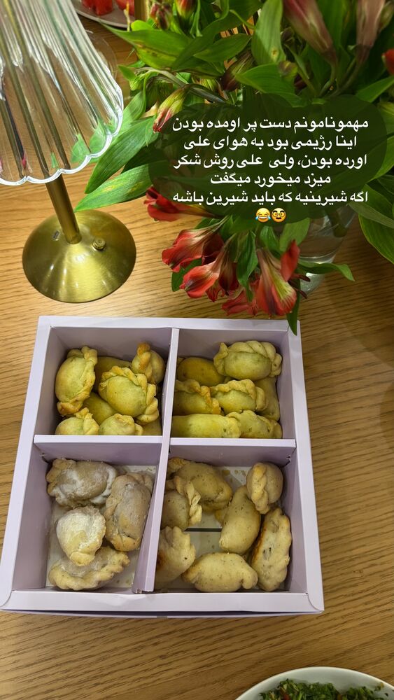  جدید ترین استوری اینستاگرام لیلی زمردیان