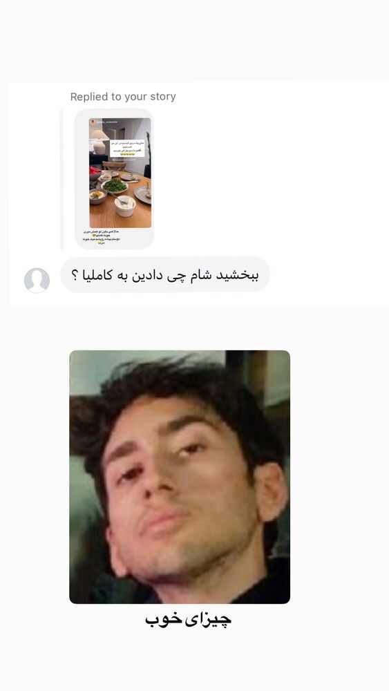  جدید ترین استوری اینستاگرام لیلی زمردیان