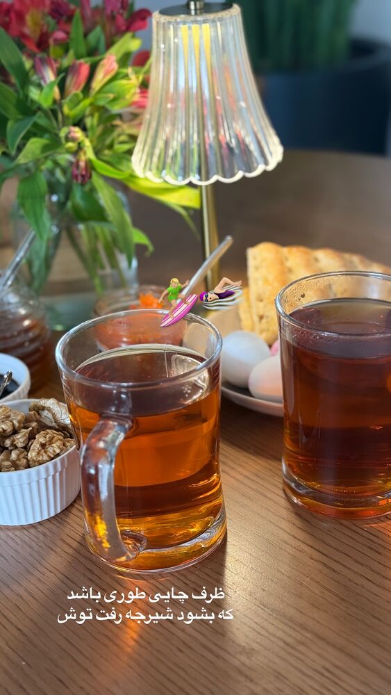  جدید ترین استوری اینستاگرام لیلی زمردیان