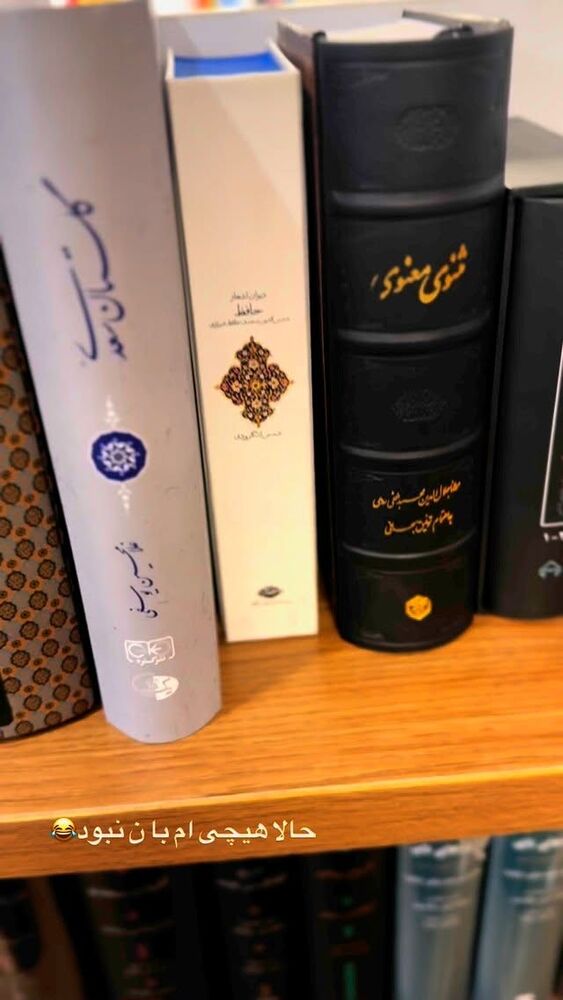  جدید ترین استوری اینستاگرام لیلی زمردیان