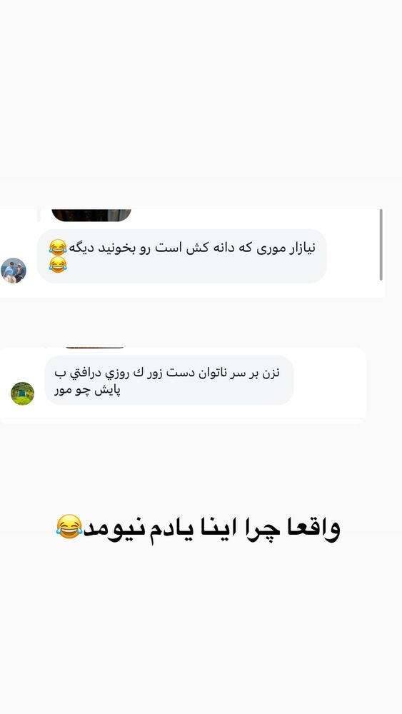  جدید ترین استوری اینستاگرام لیلی زمردیان