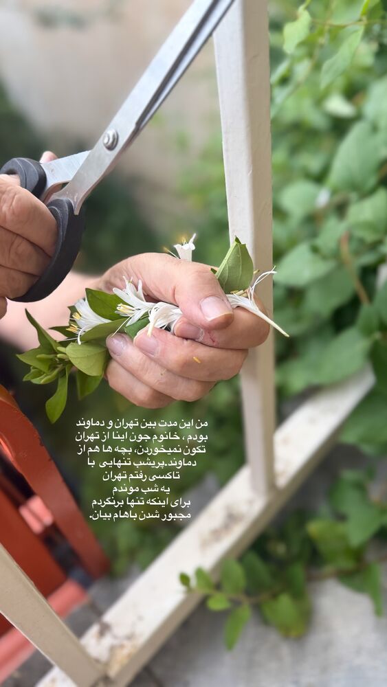  جدید ترین استوری اینستاگرام لیلی زمردیان