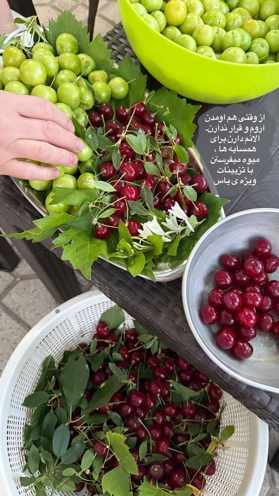 جدید ترین استوری اینستاگرام لیلی زمردیان