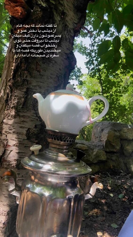  جدید ترین استوری اینستاگرام لیلی زمردیان