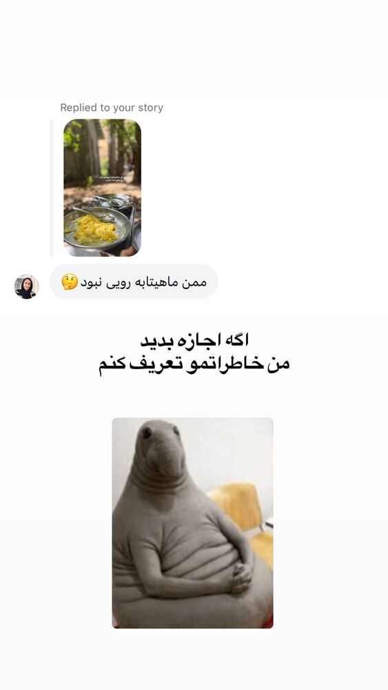  جدید ترین استوری اینستاگرام لیلی زمردیان