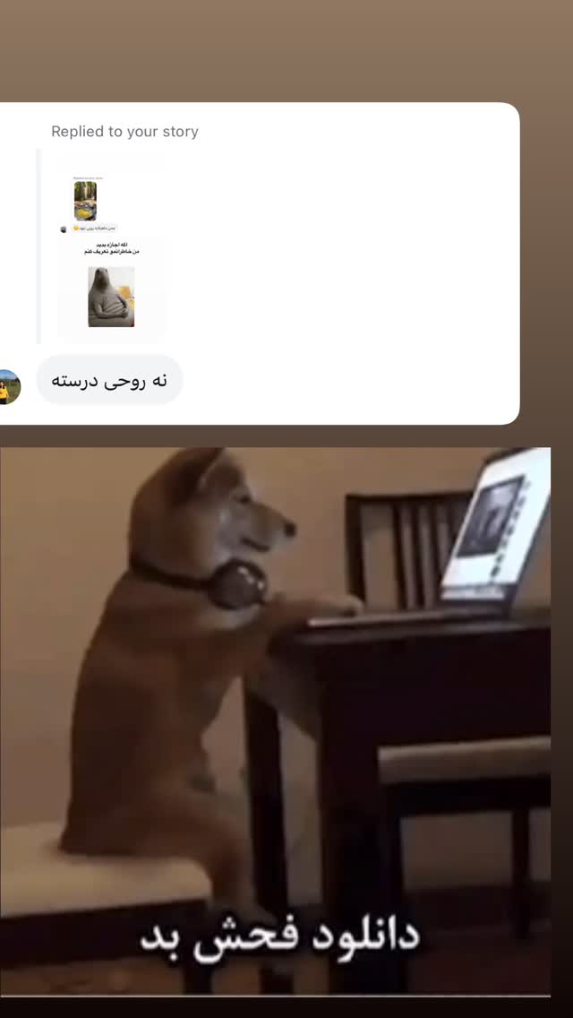  جدید ترین استوری اینستاگرام لیلی زمردیان