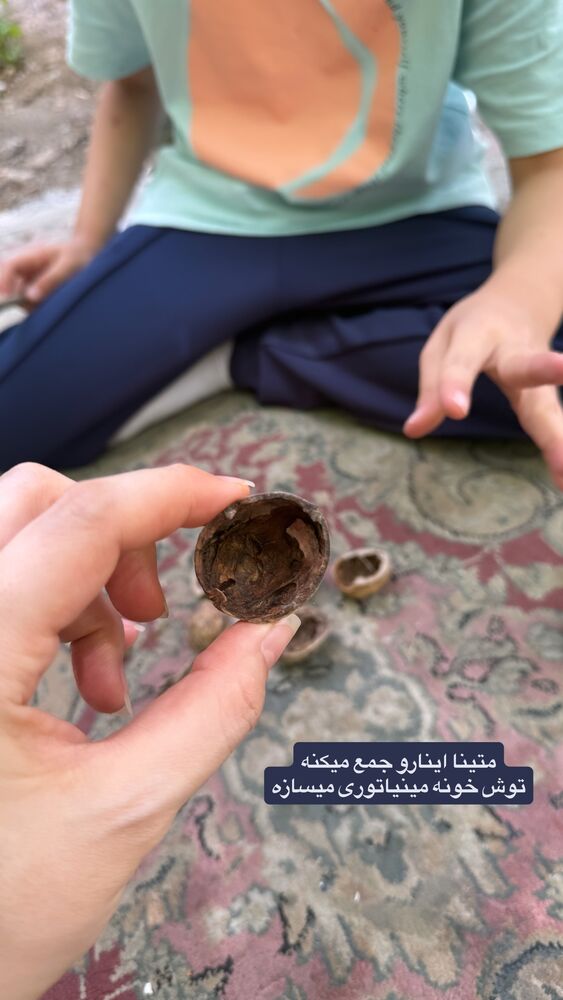  جدید ترین استوری اینستاگرام لیلی زمردیان