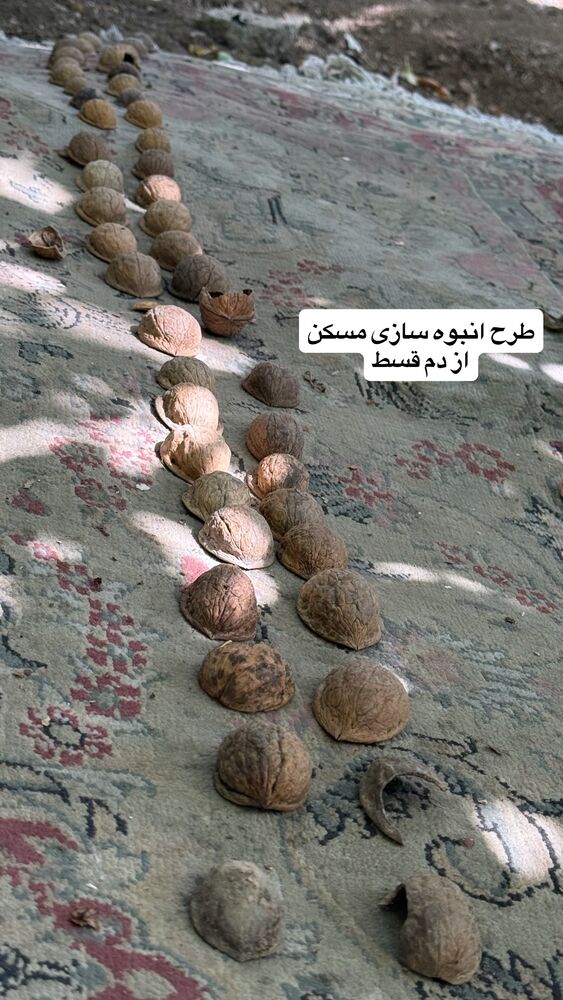  جدید ترین استوری اینستاگرام لیلی زمردیان