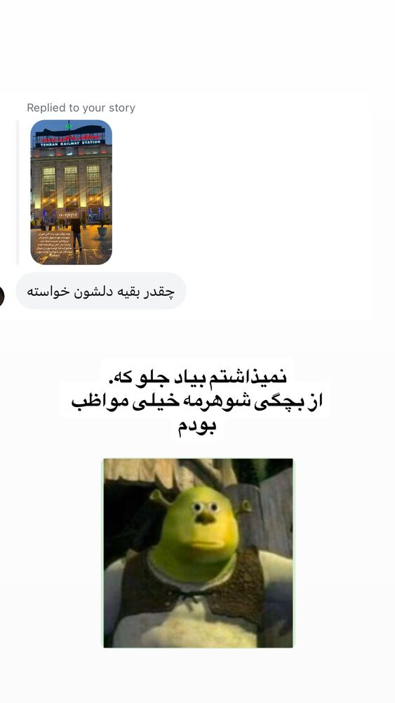  جدید ترین استوری اینستاگرام لیلی زمردیان