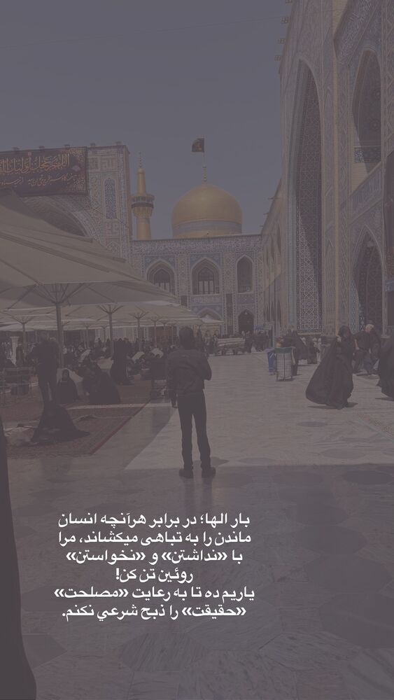  جدید ترین استوری اینستاگرام لیلی زمردیان