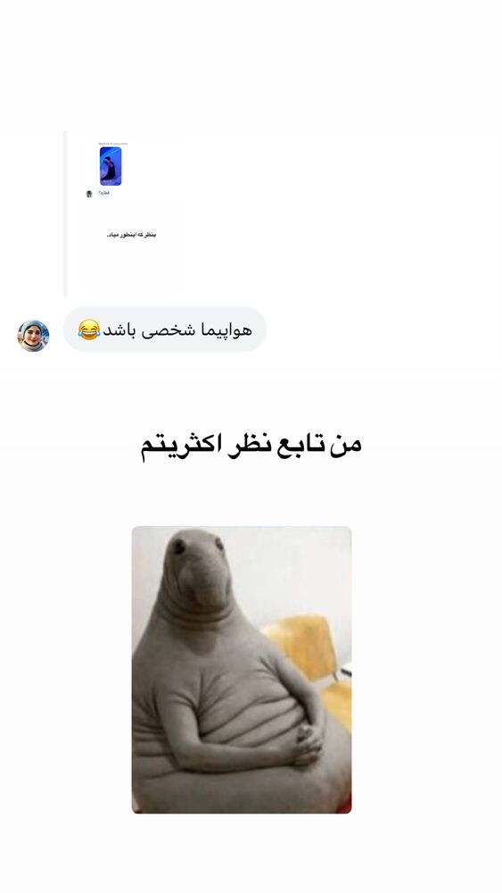  جدید ترین استوری اینستاگرام لیلی زمردیان