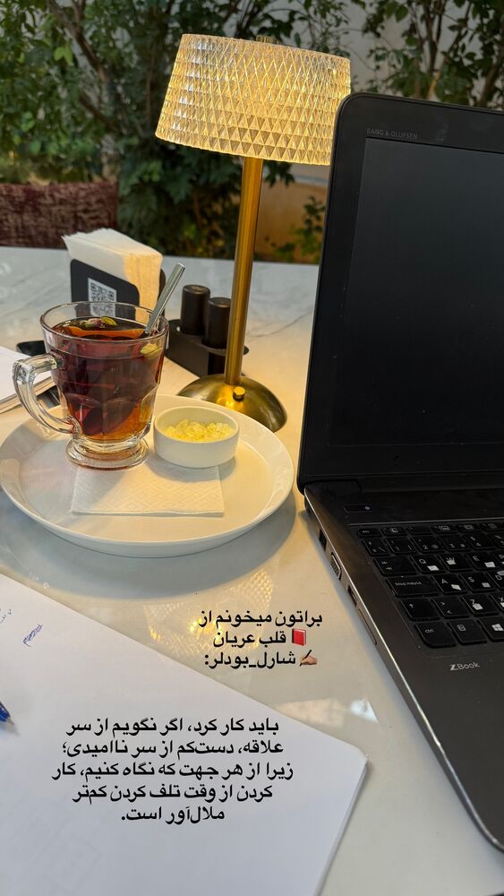  جدید ترین استوری اینستاگرام لیلی زمردیان