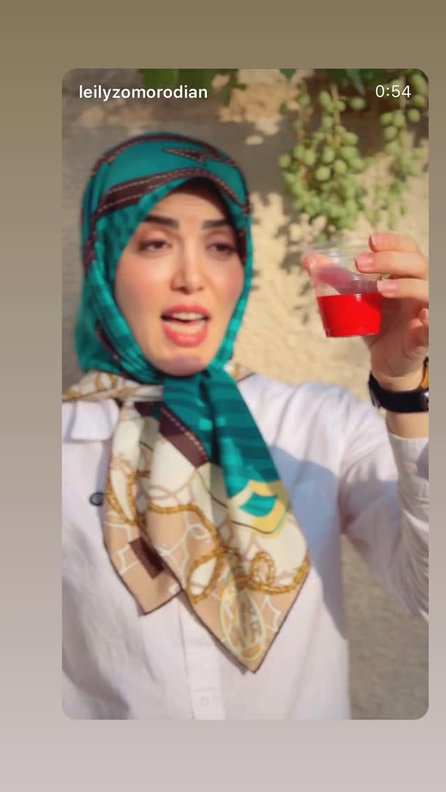  جدید ترین استوری اینستاگرام لیلی زمردیان