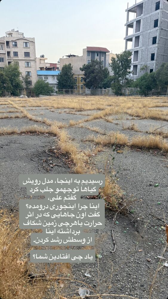  جدید ترین استوری اینستاگرام لیلی زمردیان