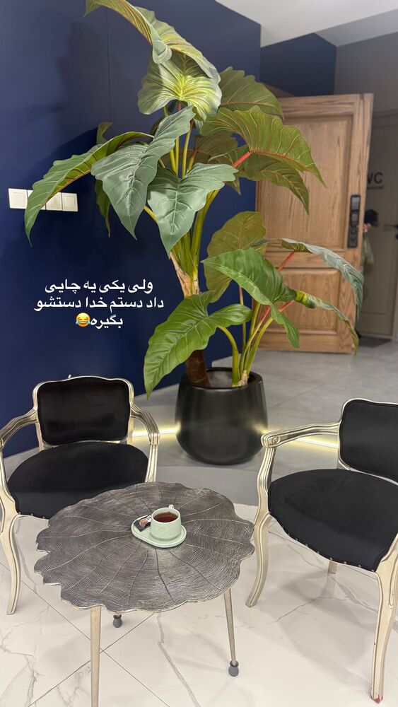  جدید ترین استوری اینستاگرام لیلی زمردیان