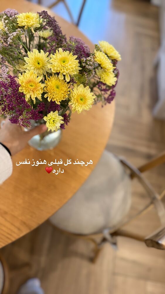  جدید ترین استوری اینستاگرام لیلی زمردیان