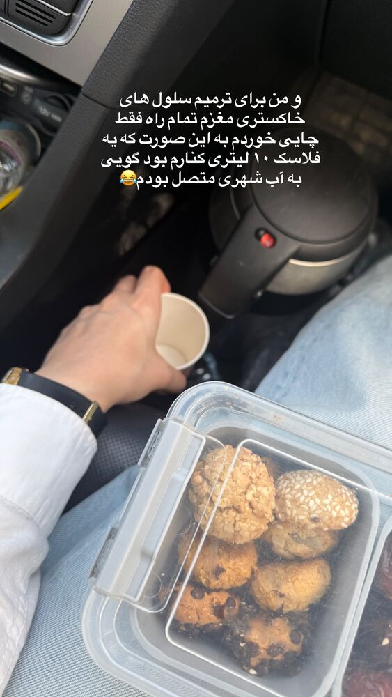  جدید ترین استوری اینستاگرام لیلی زمردیان