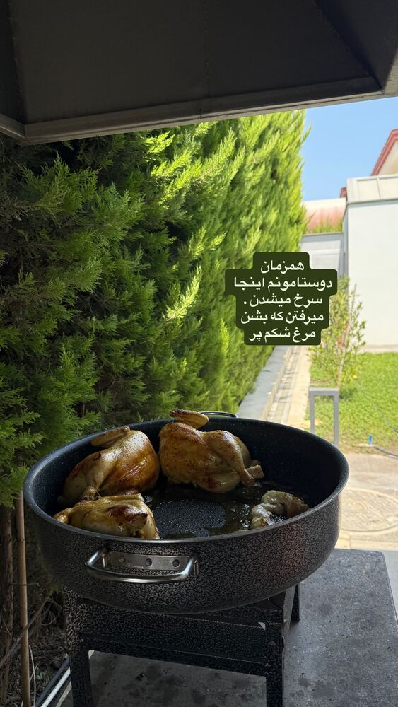  جدید ترین استوری اینستاگرام لیلی زمردیان