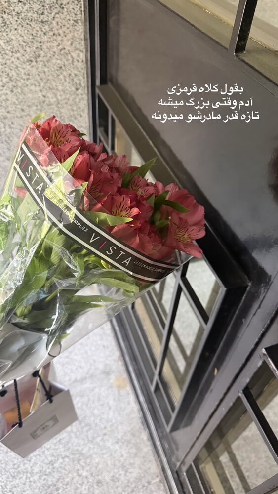  جدید ترین استوری اینستاگرام لیلی زمردیان