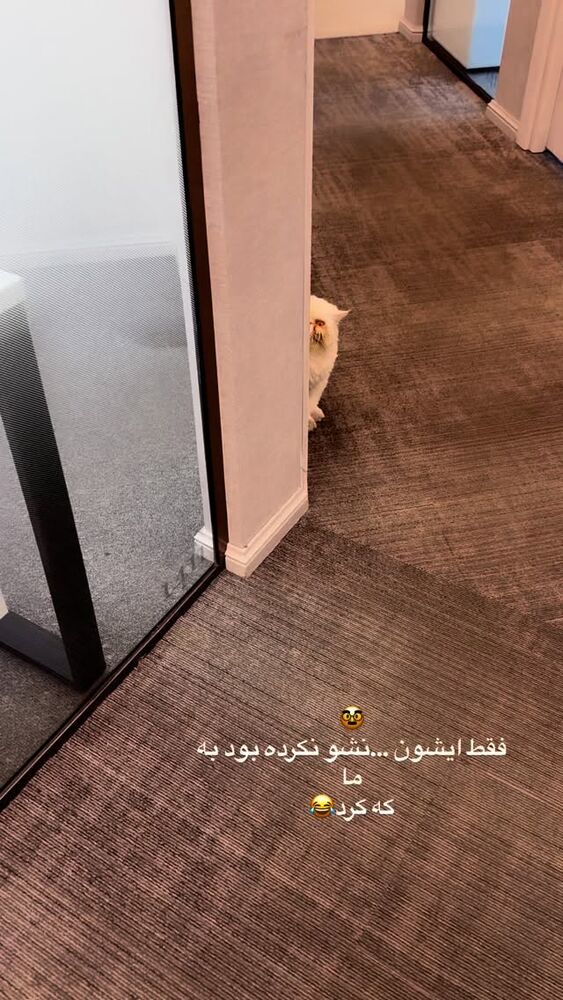  جدید ترین استوری اینستاگرام لیلی زمردیان