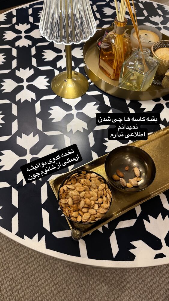  جدید ترین استوری اینستاگرام لیلی زمردیان