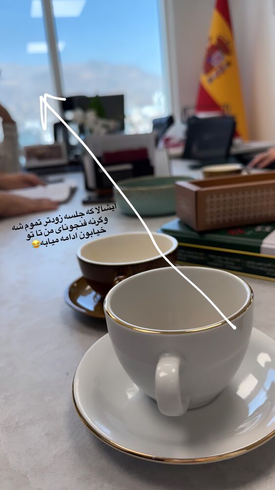  جدید ترین استوری اینستاگرام لیلی زمردیان