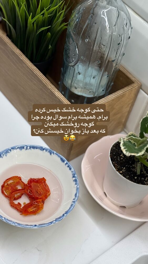  جدید ترین استوری اینستاگرام لیلی زمردیان