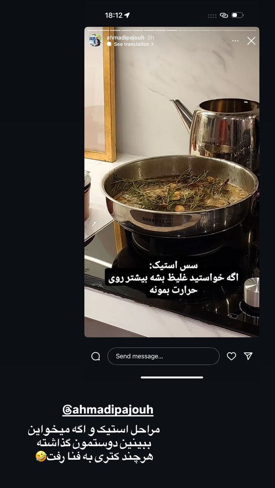  جدید ترین استوری اینستاگرام لیلی زمردیان