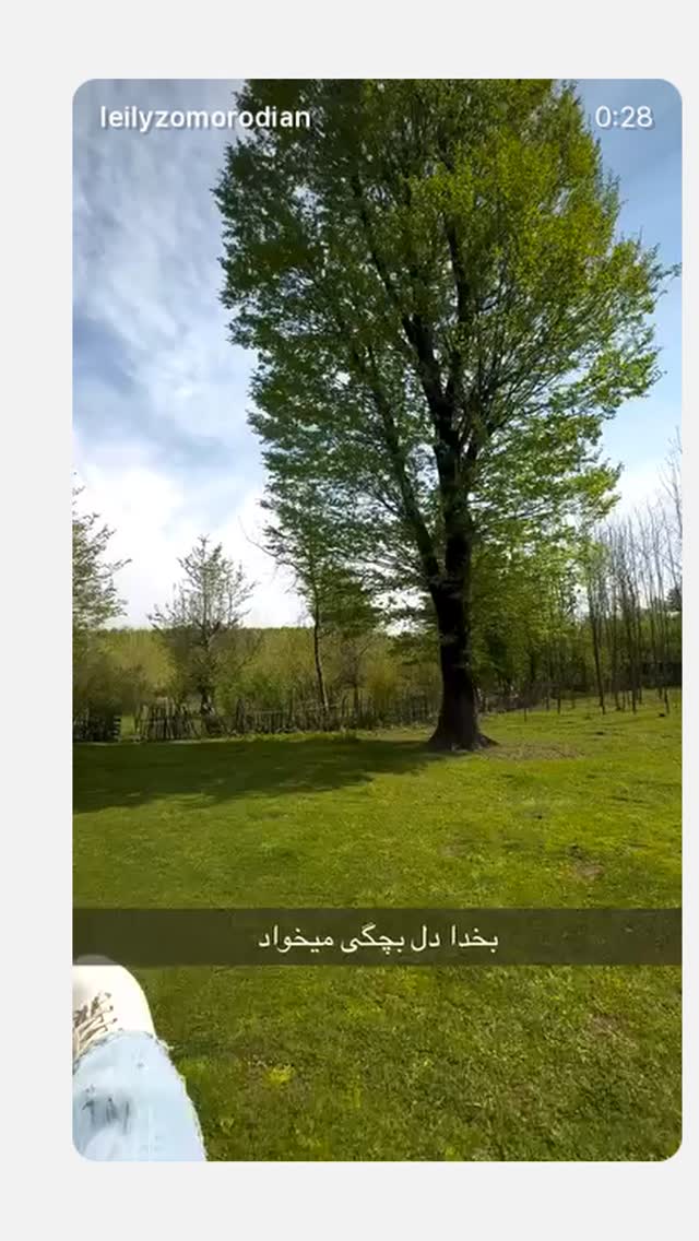  جدید ترین استوری اینستاگرام لیلی زمردیان