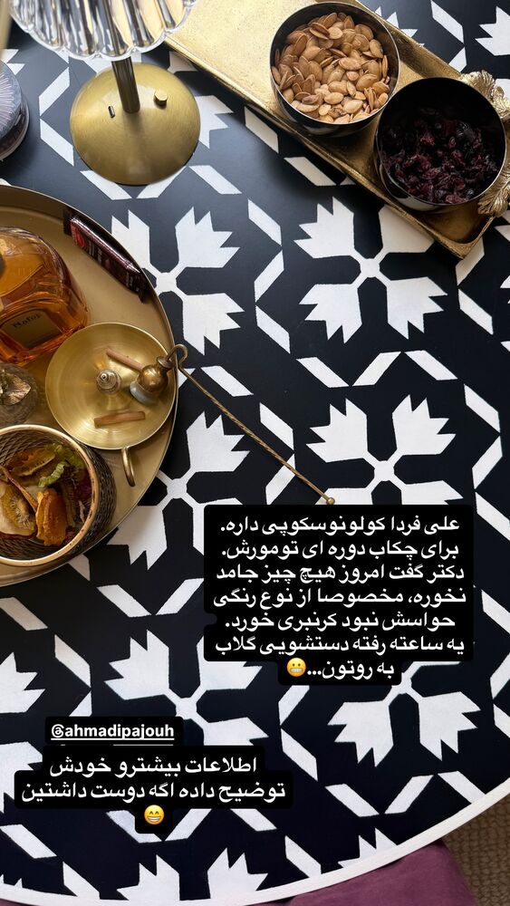  جدید ترین استوری اینستاگرام لیلی زمردیان