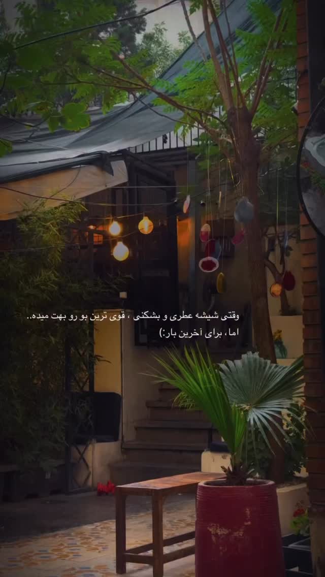  جدید ترین استوری اینستاگرام لیلی زمردیان