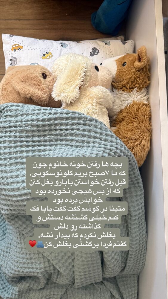  جدید ترین استوری اینستاگرام لیلی زمردیان
