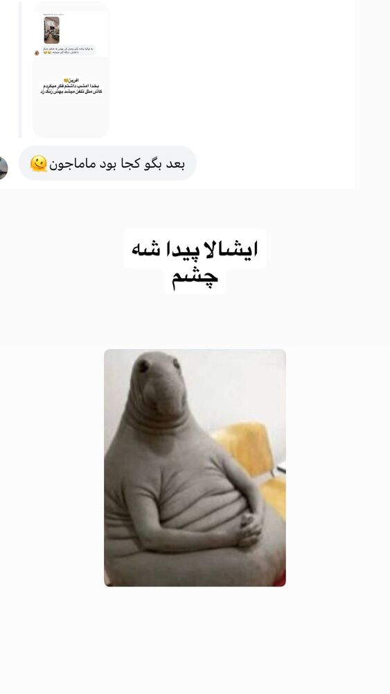  جدید ترین استوری اینستاگرام لیلی زمردیان