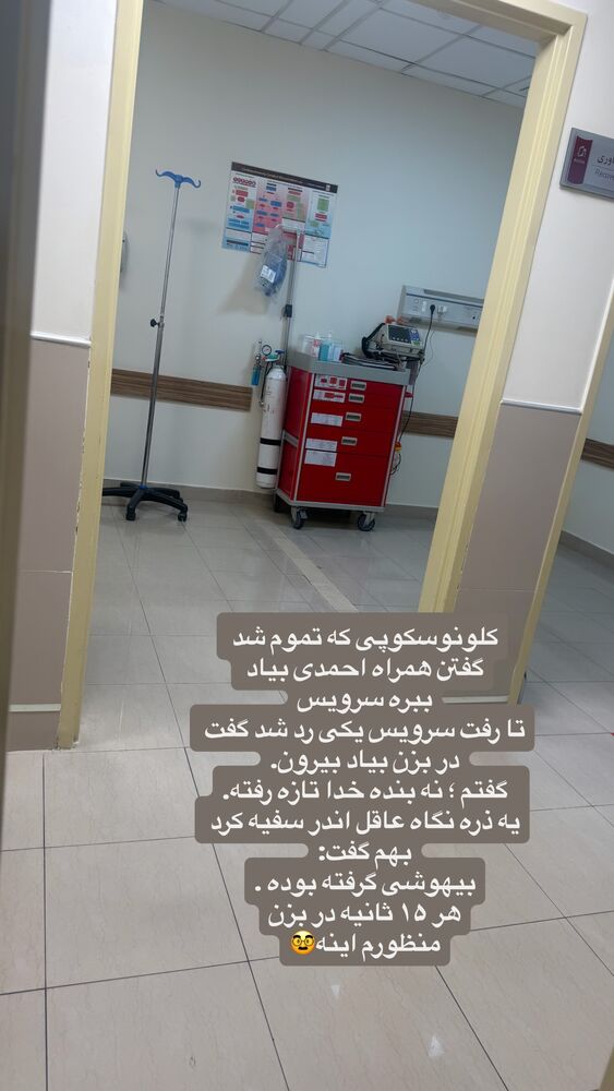  جدید ترین استوری اینستاگرام لیلی زمردیان