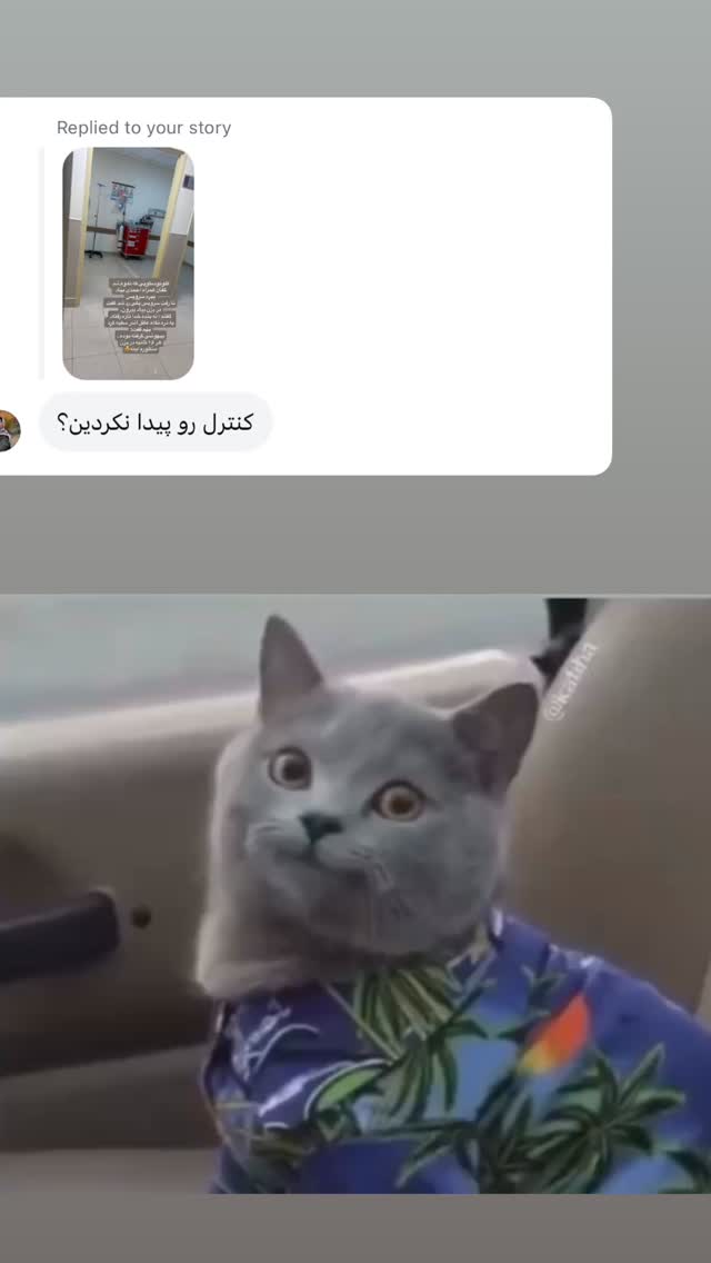  جدید ترین استوری اینستاگرام لیلی زمردیان