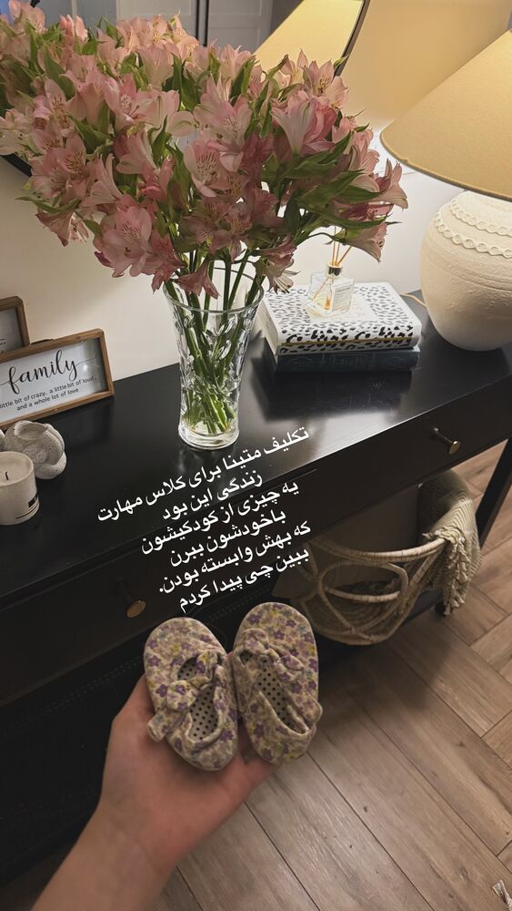  جدید ترین استوری اینستاگرام لیلی زمردیان
