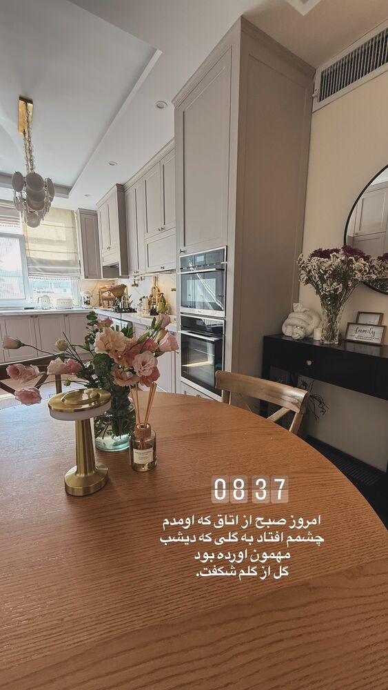  جدید ترین استوری اینستاگرام لیلی زمردیان