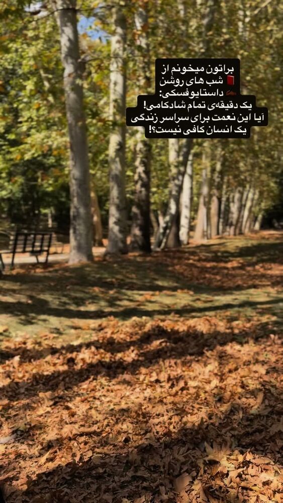 جدید ترین استوری اینستاگرام لیلی زمردیان